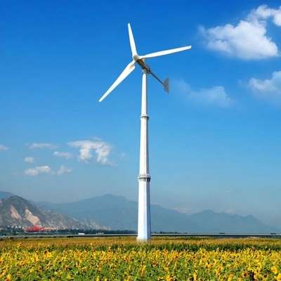 Photovoltaikkollektoren 380VAC Windenergiesystem 3-Phasen-Wechselstrom-Festmagnet
