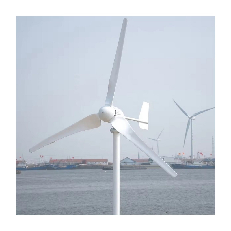 Erschwingliche 5KW Wind-Solar-Strom-System mit reinem Sinus-Wellen-Inverter und niedrige Frequenz